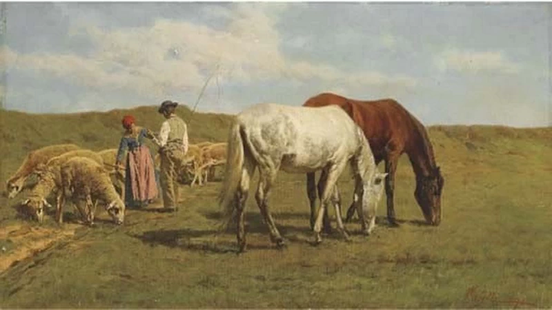 Pietro - Incontro nei campi
